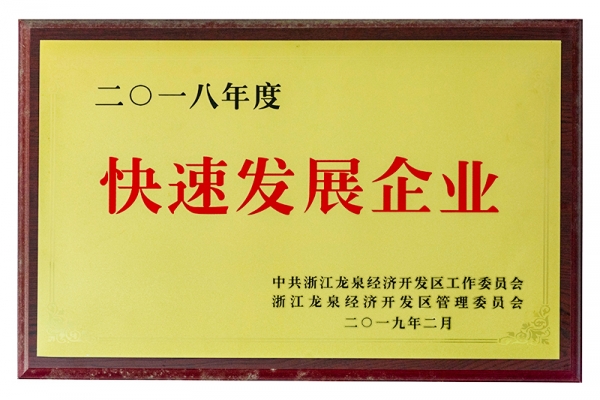 2018年度快速發展企業